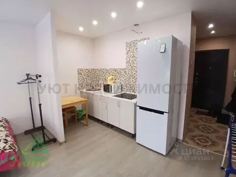 Студия Московская область, Домодедово Южный мкр, ул. Курыжова, 14 ...