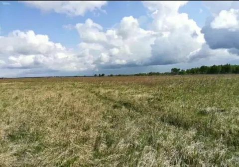 Участок в Свердловская область, Белоярский пгт пер. Белоярский (8.0 ...