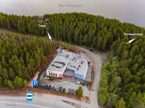 Помещение свободного назначения в Карелия, Костомукша ул. Мира, 7/2 ...
