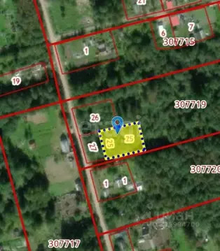 Участок в Псковская область, Псковский район, Торошинская волость, ...