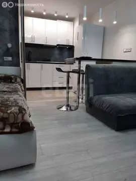 Квартира-студия: Санкт-Петербург, Заневский проспект, 42 (27.9 м)