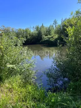 Участок в Томская область, Томский район, Лесная дача СНТ  (14.0 сот.)