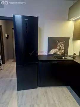 Квартира-студия: Санкт-Петербург, улица Одоевского, 17 (42 м)