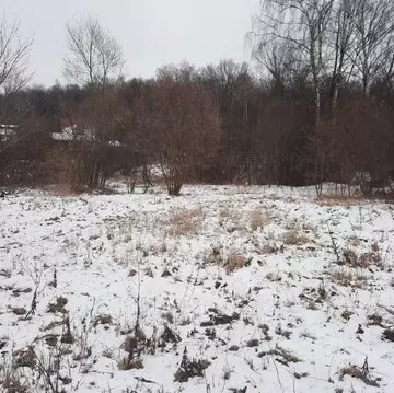 Участок в Московская область, Ступино городской округ, д. Колдино ул. ...