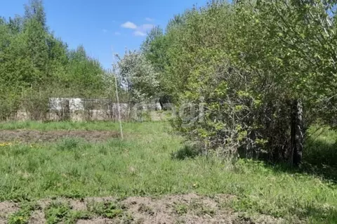 Участок в Ленинградская область, Лодейнопольский район, Янегское ...