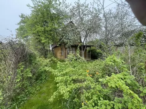 Участок в Московская область, Мытищи городской округ, д. Осташково, ...
