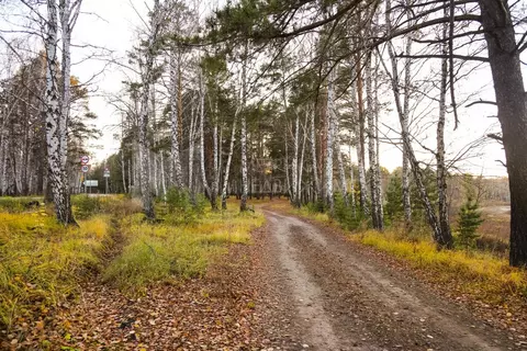 Участок в Тюменский муниципальный округ, деревня Криводанова, ...