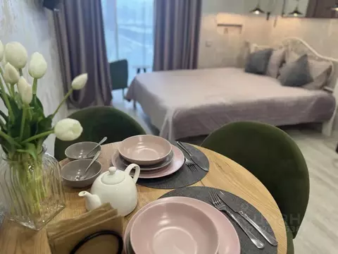 Студия Краснодарский край, Сочи Бытха мкр, ул. Ясногорская, 16/6к2 ...