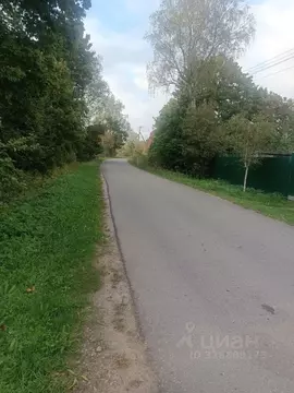 Участок в Ленинградская область, Волосовский район, Большеврудское ...