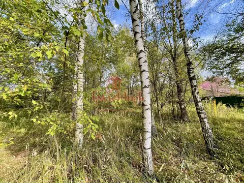 Участок в Владимирская область, Александровский муниципальный округ, ...