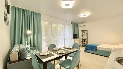 1-к кв. Краснодарский край, Сочи Центральный мкр, ул. Роз, 36 (45.0 м)