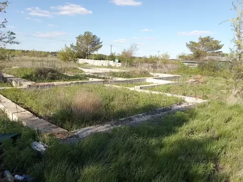 Участок в Оренбургская область, Оренбургский район, Южноуральский ...