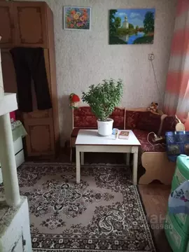 Дом в Пензенская область, Каменка Родниковая ул., 36 (66 м)