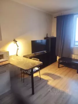 Студия Ленинградская область, Мурино Всеволожский район, аллея ...