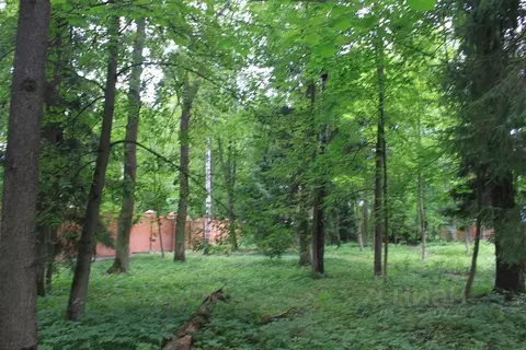 Участок в Московская область, Одинцовский городской округ, д. ...