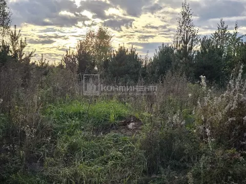 Участок в Владимирская область, Ковровский район, Доброград ...