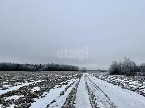 Участок в Вологодская область, Грязовецкий муниципальный округ, д. ...