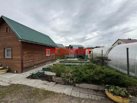 Дом в Новосибирская область, Новосибирск Лилия СНТ, ул. Восточная, 30 ...