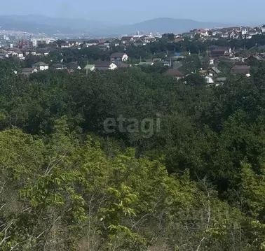 Участок в Краснодарский край, Новороссийск Голубая Даль СНТ, ул. ...