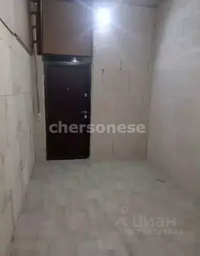 Помещение свободного назначения в Севастополь ул. Павла Корчагина, ...