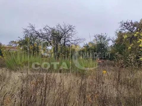 Участок в Воронежская область, Семилуки Лесная ул. (38.0 сот.)