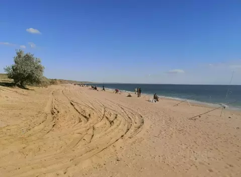 Участок в Крым, Ленинский район, Батальненское с/пос, Нептун СНТ 556 ...