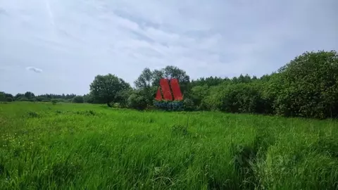 Участок в Ярославская область, Ярославский муниципальный округ, д. ...