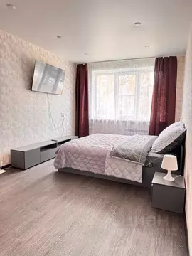1-к кв. Псковская область, Псков Звездная ул., 13 (33.0 м)