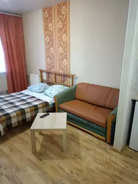 Студия Санкт-Петербург ул. Латышских Стрелков, 1 (29.0 м)