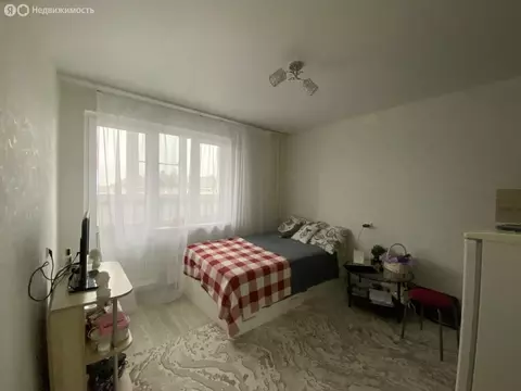 Квартира-студия: Нижний Новгород, улица Бориса Видяева, 20 (17.4 м)