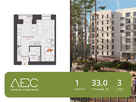 Студия Свердловская область, Екатеринбург Широкая Речка мкр, Лес жилой ...