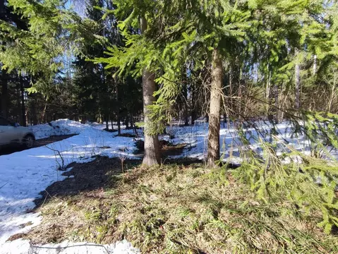 Участок в Московская область, Одинцовский городской округ, пос. НИИ ...
