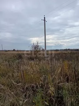 Участок в Калужская область, Бабынинский муниципальный округ, Утешево ...