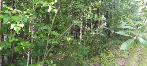 Участок в Ханты-Мансийский АО, Ханты-Мансийск Маяк СОТ,  (15.0 сот.)