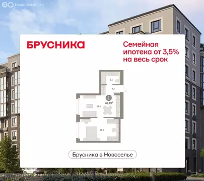 1-комнатная квартира: городской посёлок Новоселье, ЖК Брусника (46.32 ...