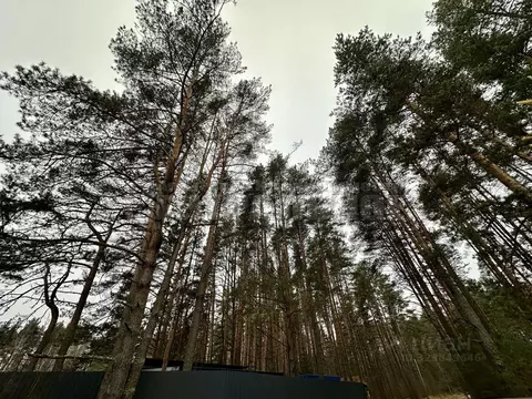 Участок в Смоленская область, Смоленский муниципальный округ, ...