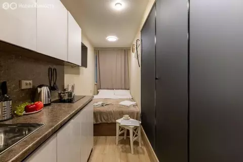 Квартира-студия: Санкт-Петербург, набережная реки Фонтанки, 168 (10 м)