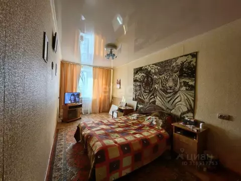 3-к кв. Воронежская область, Воронеж Волго-Донская ул., 8 (58.8 м)