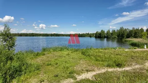 Участок в Ярославская область, Ярославский муниципальный округ, Синее ...