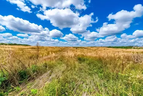 Участок в Московская область, Солнечногорск городской округ, д. ...