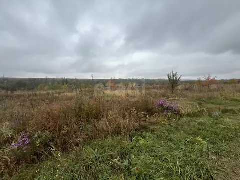 Участок в Белгородская область, Белгородский район, Беломестненское ...