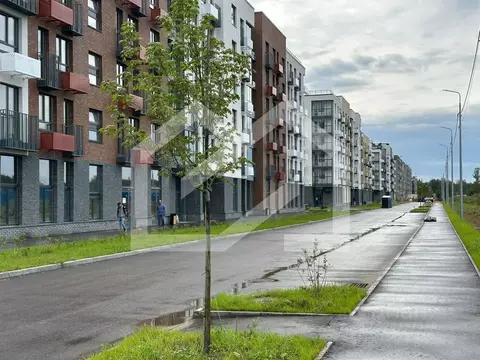 Помещение свободного назначения в Московская область, Одинцовский ...