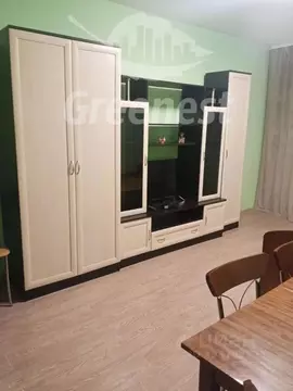 1-к кв. Иркутская область, Иркутск Топкинский мкр, 16 (30.0 м)