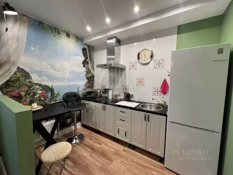 Студия Санкт-Петербург ул. Новая, 51к7 (27.0 м)