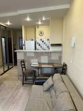 Студия Санкт-Петербург ул. Софьи Ковалевской, 16к5 (25.0 м)