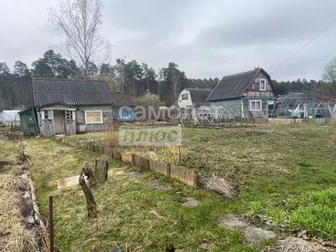 Дом в Брянская область, Сельцо  (20 м)