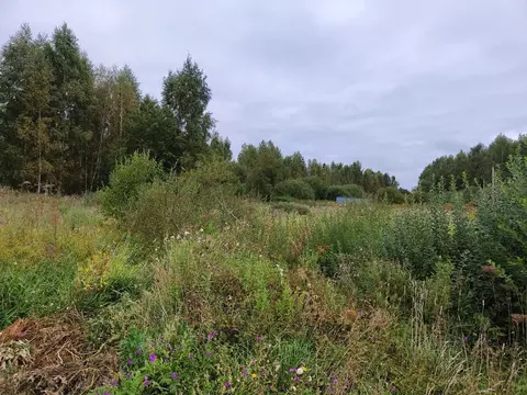 Участок в Московская область, Волоколамский муниципальный округ, с. ...