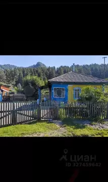 Дом в Алтай, Чемальский район, с. Чепош Трактовая ул. (41 м)
