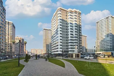 Студия Краснодарский край, Краснодар бул. Адмиралтейский, 3к1 (24.5 м)