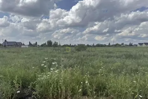 Участок в Воронежская область, с. Новая Усмань ул. Луговая (12.0 сот.)